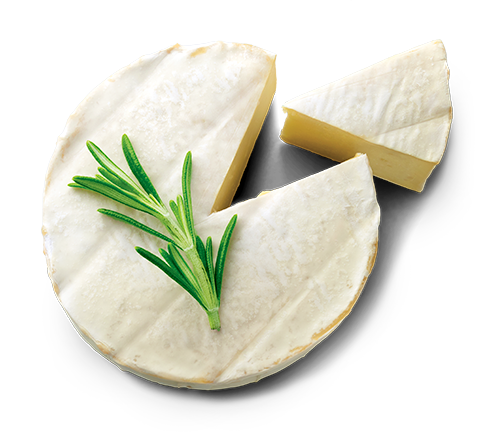 Vega-alternatief voor Camembert